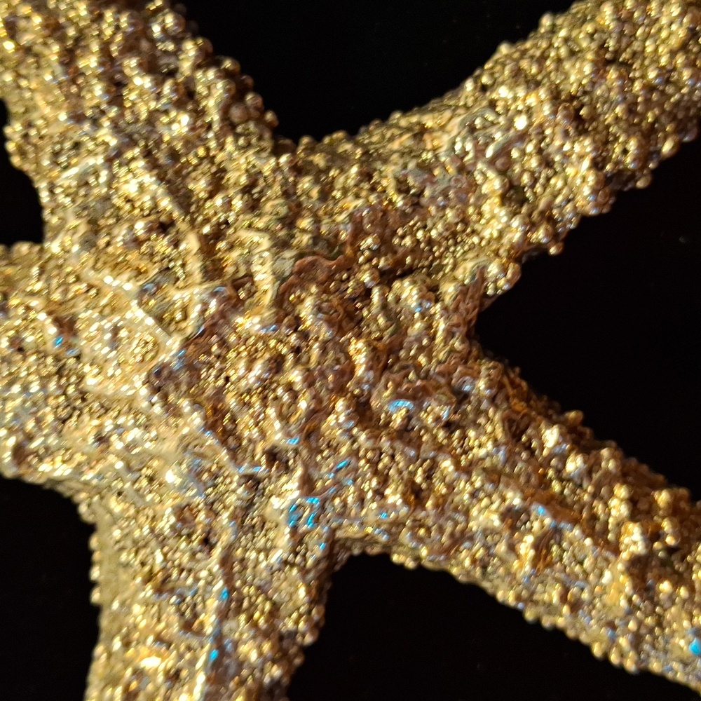 Large Silver Tone Starfish Pendant- Chain NOT Included - Picture 2 of 3
